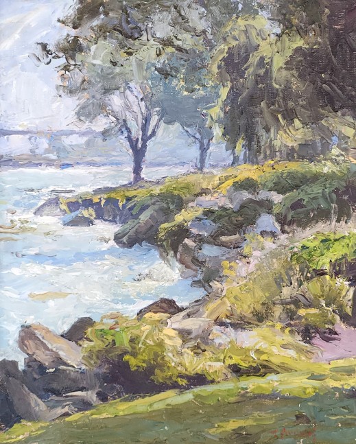 Lakeside Vista