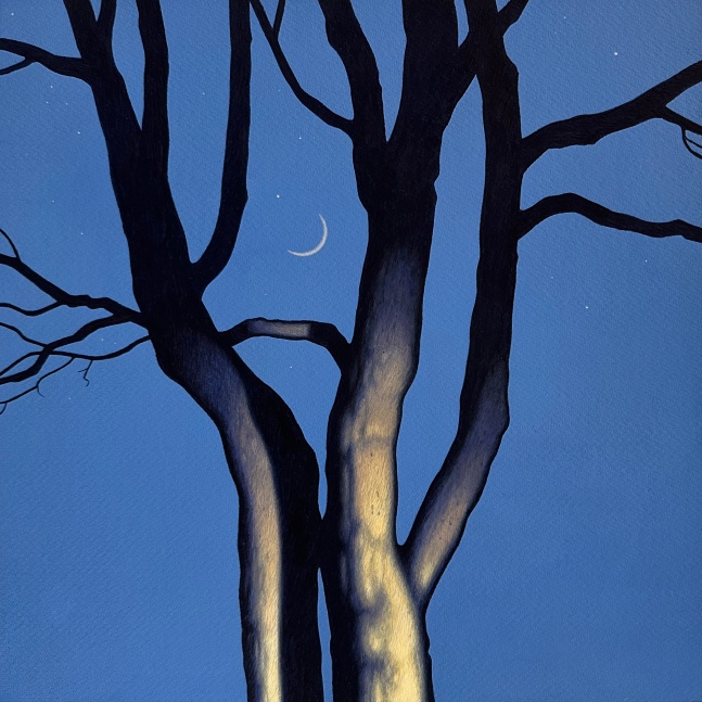 Illuminated Tree with Crescent Moon 3