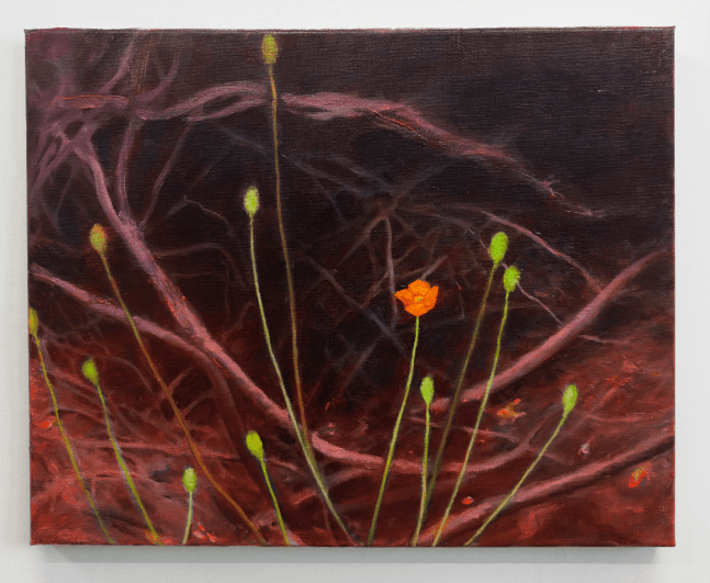 Fire Follower: Fire Poppies
