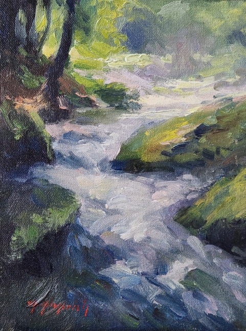 Forest Stream