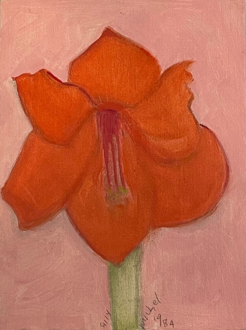 Sally Michel Avery

Amaryllis, 1984

oil on board

12&amp;quot; x 9&amp;quot;