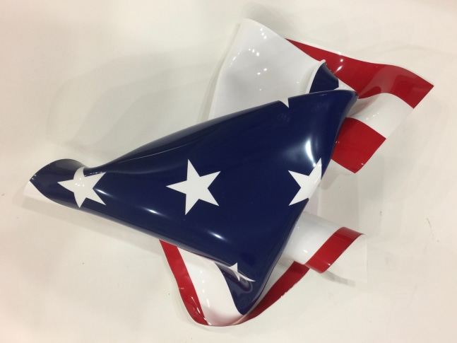 Freedom Flower Series #1, #4, 2016

silkscreened formed acrylic

23 5/8&amp;quot; x 20 1/2&amp;quot;