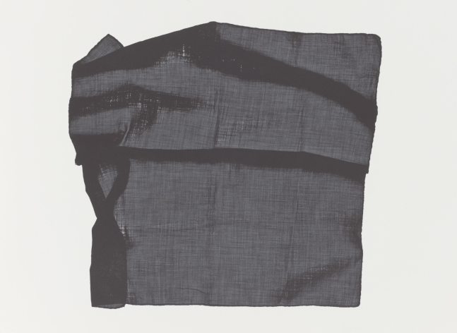 Veils 4, 1974

lithograph

22&amp;quot; x 30&amp;quot;

A.P. 4/5