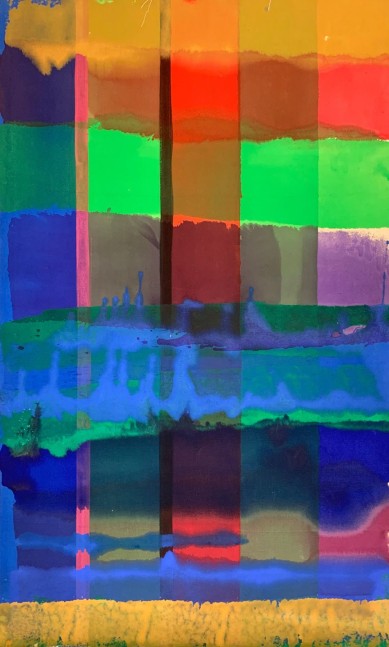 Paul Reed

Inside Out X, 1966

acrylic on canvas

50&amp;quot; x 33&amp;quot;