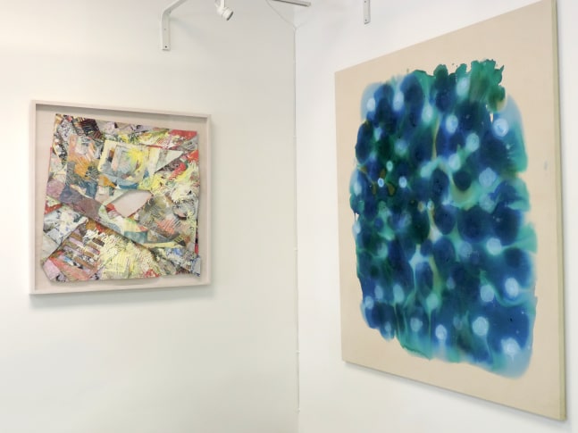 Raw and Unprimed: Washington Color School