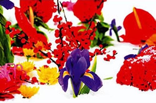 Marc Quinn

Untitled (Winter Garden Series) (7), 2004

pigment print

32&amp;#39;&amp;#39; x 48&amp;#39;&amp;#39;

ed. 59