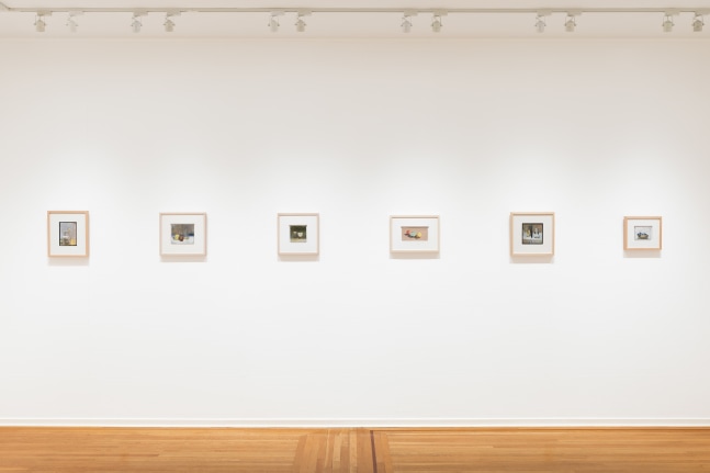 Catherine Maize: Recent Paintings