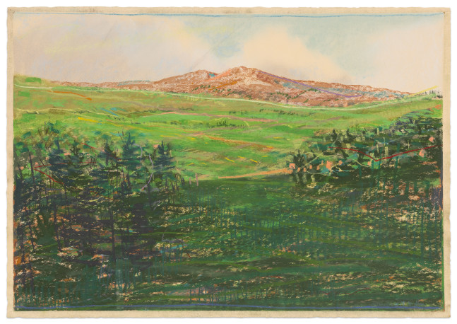 Dennis Leon MacDowell #19, 1981 color pastel on paper 21 x 30 in. (sheet)