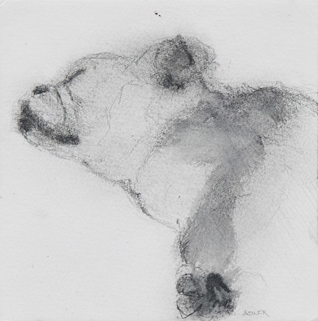 Laura Adler Untitled #106, 2018 graphite and ink wash on paper 6 x 6 in.