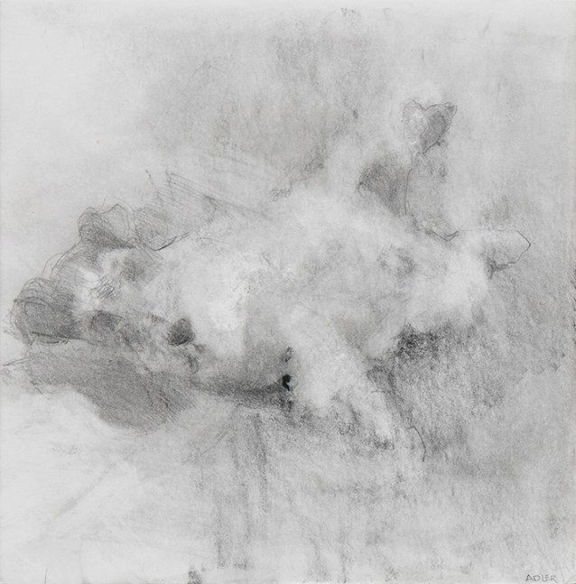 Laura Adler

&amp;quot;Untitled #101,&amp;quot; 2018

pencil on paper

6 x 6 in.
