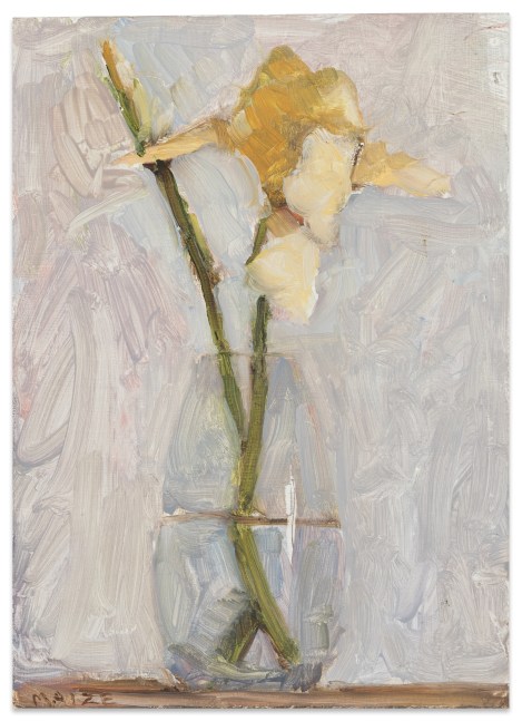 Catherine Maize Iris, 2022 oil on panel ​​​​​​​7 x 5 in.