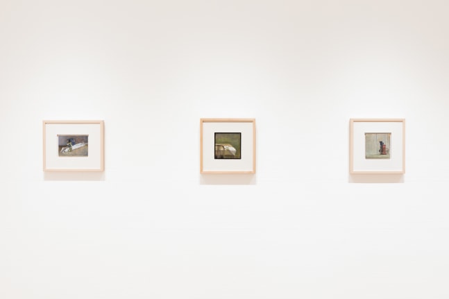 Catherine Maize: Recent Paintings