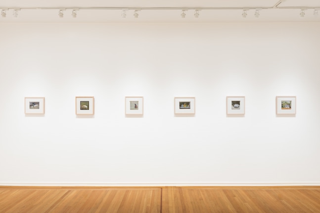 Catherine Maize: Recent Paintings