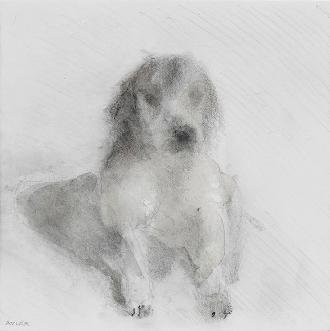 Laura Adler Untitled #135, 2018 graphite on paper ​​​​​​​6 x 6 in.