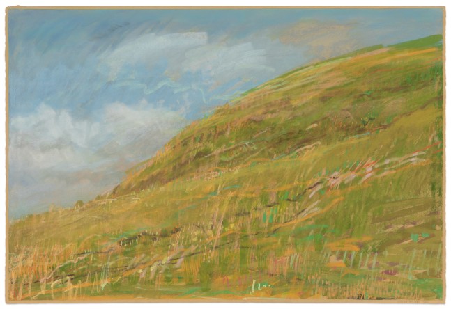 Dennis Leon Hillside #1, 1983 color pastel on paper 30 1/4 x 44 1/2 in.