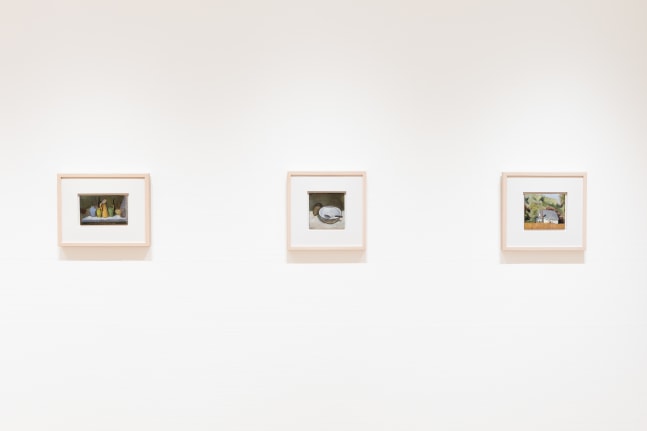 Catherine Maize: Recent Paintings