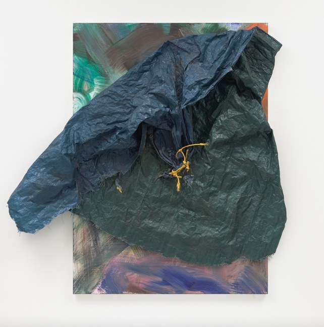 David Hammons, Untitled, 2017. Acrylic and tarp on canvas. 64 &amp;times; 46 in.