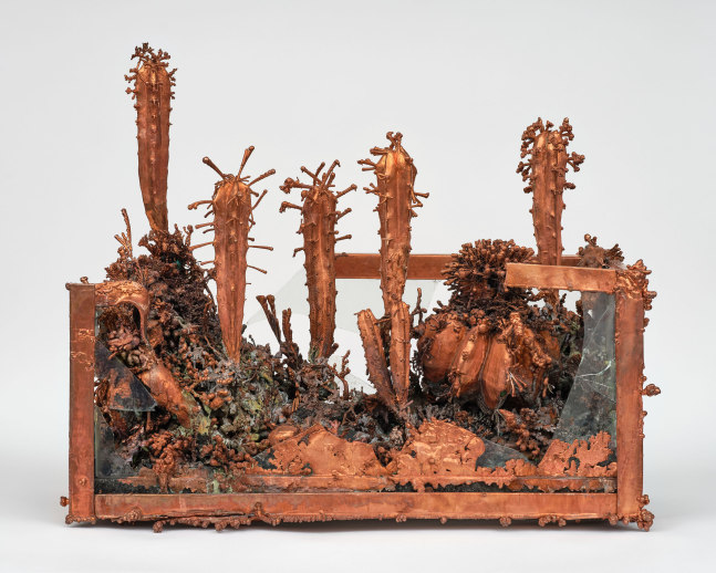 Max&amp;nbsp;Hooper Schneider

Disinterred Electrolyte Xeriscape, 2025

Burned aquarium, cacti, plastic decor, copper electroplating

28&amp;quot; &amp;times; 34&amp;quot; &amp;times; 17&amp;quot; (71.1 cm &amp;times; 86.4 cm &amp;times; 43.2 cm)