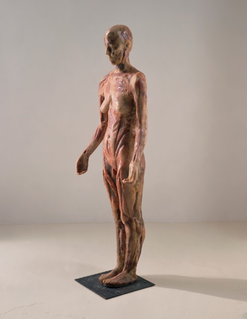 Kiki Smith, Virgin Mary, 1992. Wax, cheesecloth, and wood with steel base. 671/2 × 26 × 141/2 in.