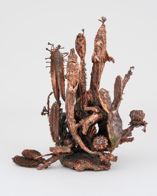 Max&amp;nbsp;Hooper Schneider

Dendrite Bonsai (Shark Xeriscape), 2024

Copper electroplated cacti, succulents, shark pups and wood assemblage

26-3/4&amp;quot; &amp;times; 14-15/16&amp;quot; &amp;times; 28-3/8&amp;quot; (68 cm &amp;times; 38 cm &amp;times; 72 cm) 11&amp;quot; &amp;times; 10-5/8&amp;quot; (28 cm &amp;times; 27 cm), footprint