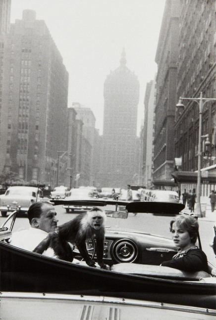 Garry Winogrand  Park Avenue, 1959