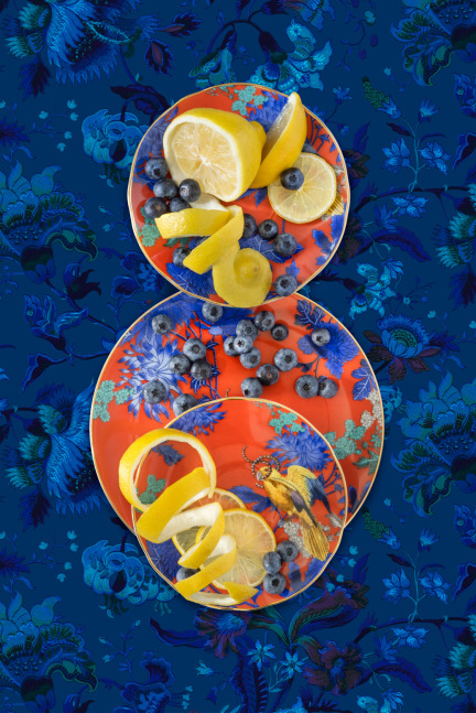 JP Terlizzi, Wedgwood Golden Parrot with Blueberry Lemons, 2023