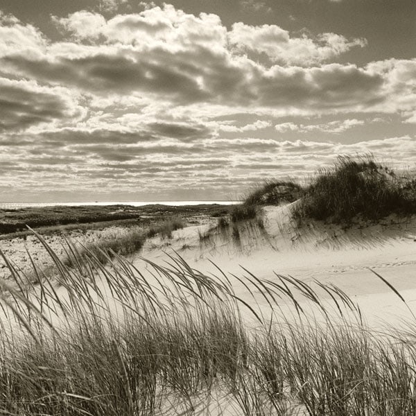 michael kahn nantucket dune landscape