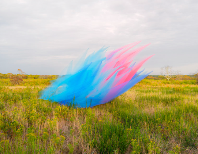 Thomas Jackson, Tulle no. 45, Nantucket, Massachusetts, 2022