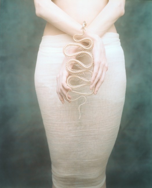 Joyce Tenneson, Suzanne with Snake (bottom of diptych), 1991