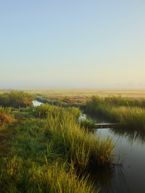 Nathan Coe  Madaket Creeks