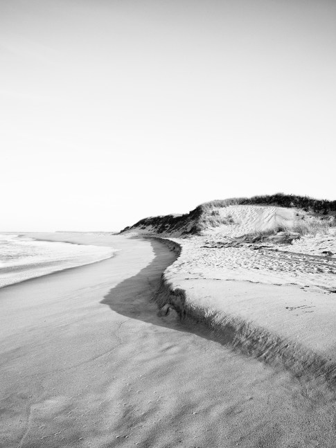 Nathan Coe  S. Curve