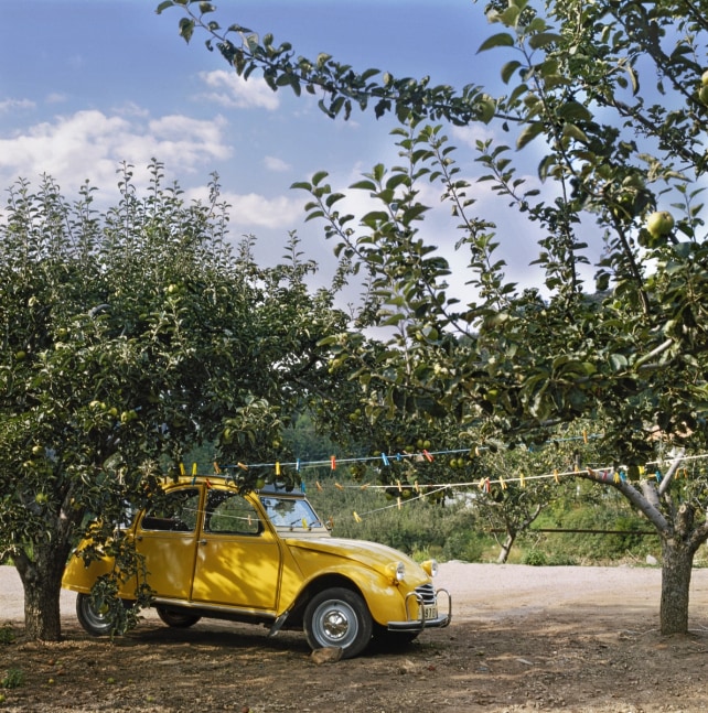 Clark Winter  Yellow Car, 2004