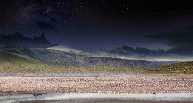 Stephen Wilkes Lesser Flamingos, Lake Bogoria, Kenya, Africa, Day to Night