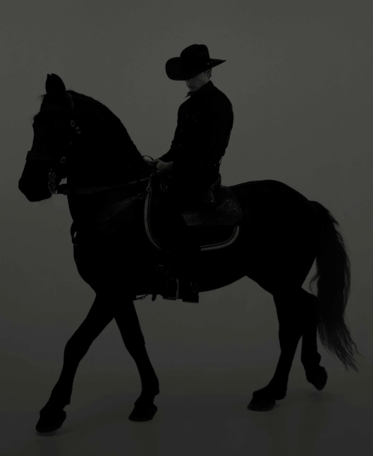Dean West, Cade Silhouette #6, The Palms, 2022