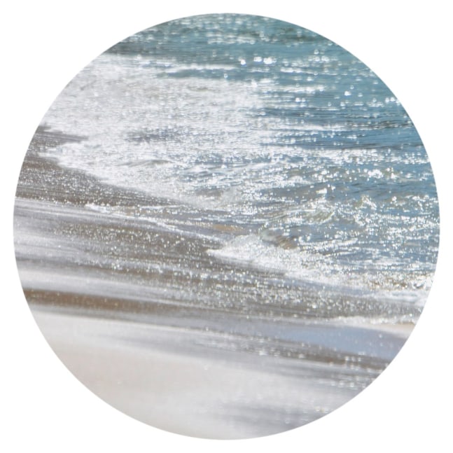 Jami Goldman, Eel Point Beach Walk, 2017