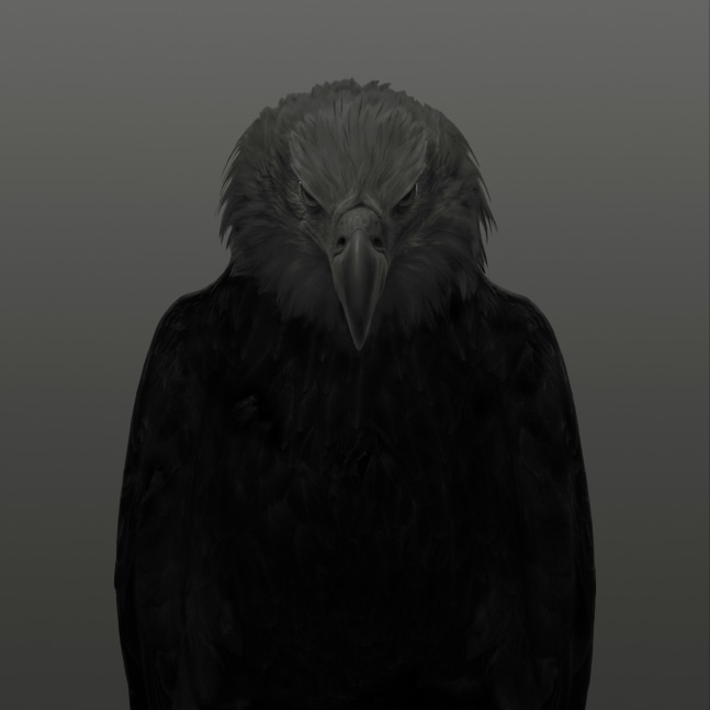 Dean West  Bald Eagle # 1, American West, 2025