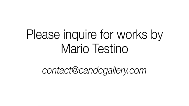 Please Inquire for Works by Mario Testino