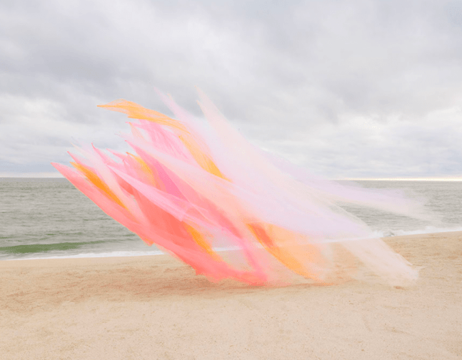 Thomas Jackson, Tulle no. 41, Nantucket, Massachusetts, 2022