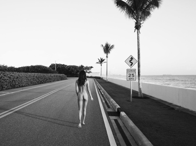 Nathan Coe, Curves Ahead, 2019