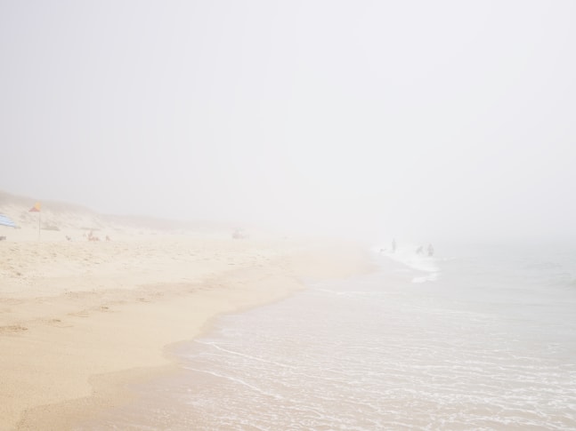 Nathan Coe, Foggy Ladies, 2023