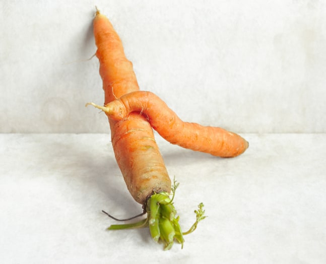 David Halliday, Carrots, against wall, 2007