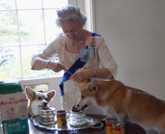 Alison Jackson  Queen Feeds her Corgis