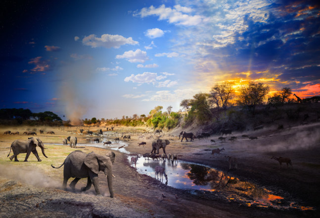 Stephen Wilkes Boteti River, Botswana, Day to Night, 2024