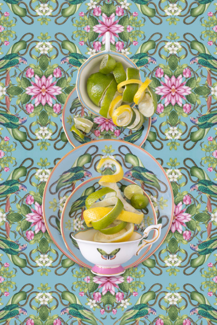 JP Terlizzi, Wedgwood Menagerie with Citrus, 2023