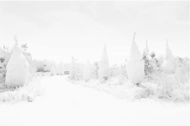 Christophe von Hohenberg  Snow Cones