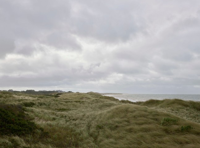 Nathan Coe, Seagrass, 2024