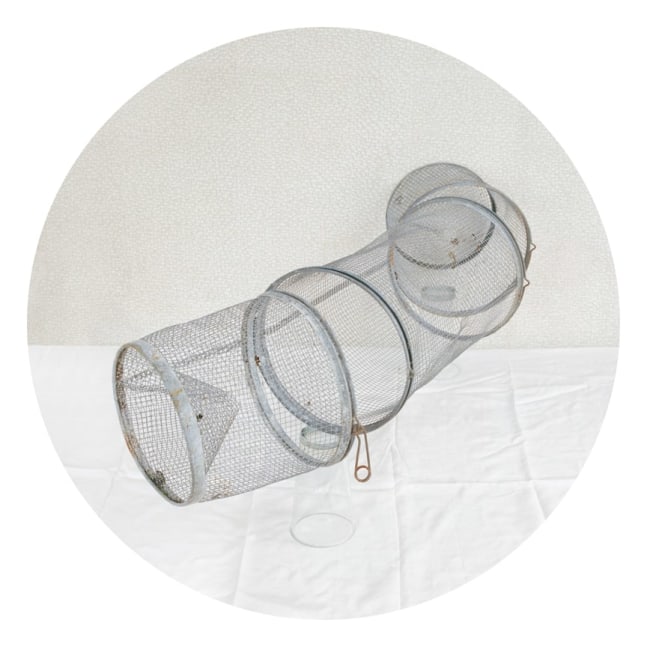 David Halliday, Minnow Catch, 2011