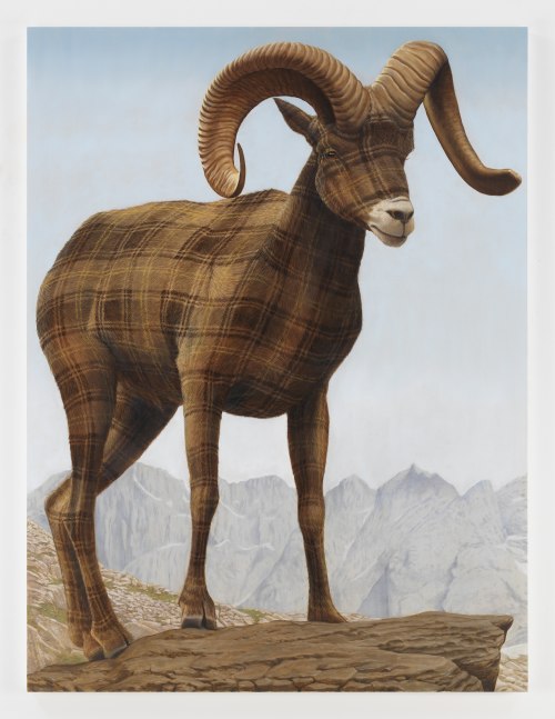 Sean Landers

Big Horn Sheep

2015

Oil on linen

64 x 48 inches

162.6 x 121.9 cm

(LS 15/015)