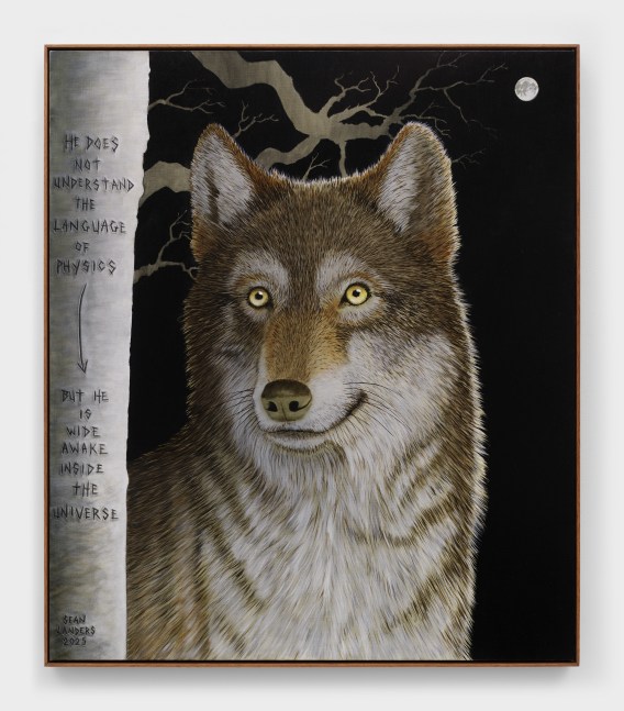 Sean Landers

Wide Awake

2025

Oil on linen

45 x 39 inches

114.3 x 99.1 cm

(LS 25/011)