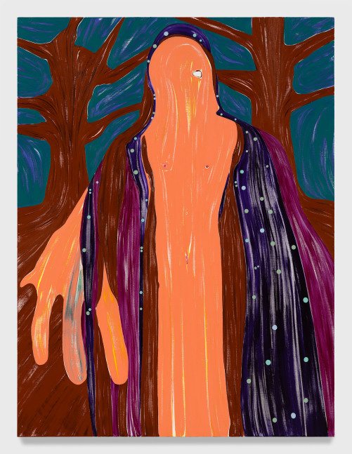 Nicola Tyson

Index Finger

2024

Acrylic on canvas

90 x 68 in

228.6 x 172.7 cm

(NT 24/018)